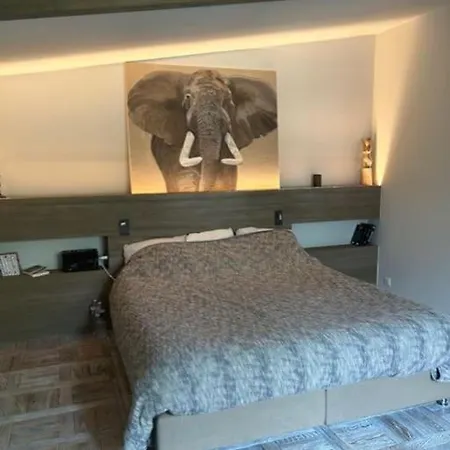 Maison -jacuzzi -patio -330m2 Montrouge